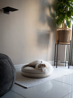 A modern home with a modern, luxury cat bed and furniture for sale by Nep + Plu in Cape Town, South Africa.