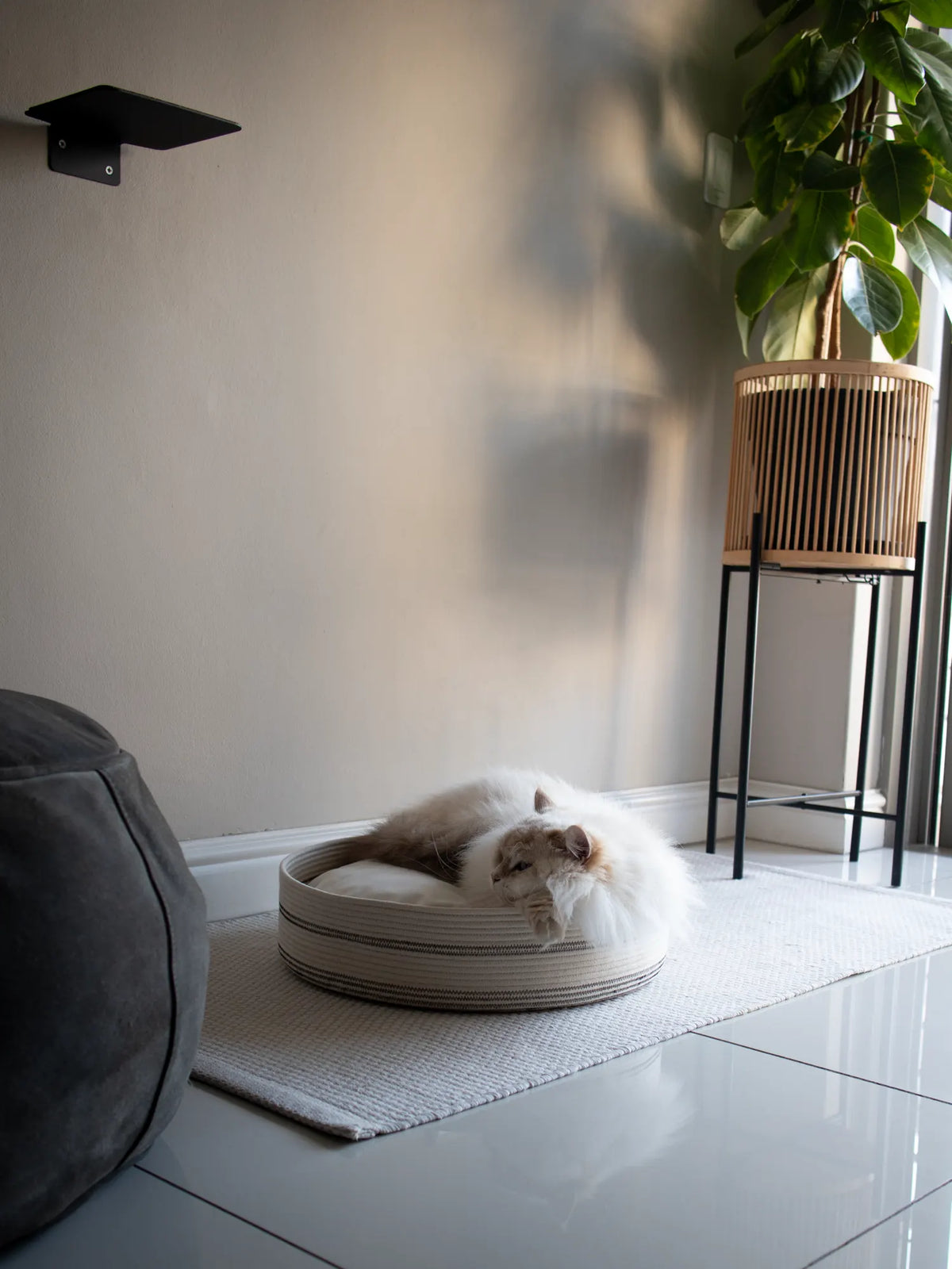 A modern home with a modern, luxury cat bed and furniture for sale by Nep + Plu in Cape Town, South Africa.