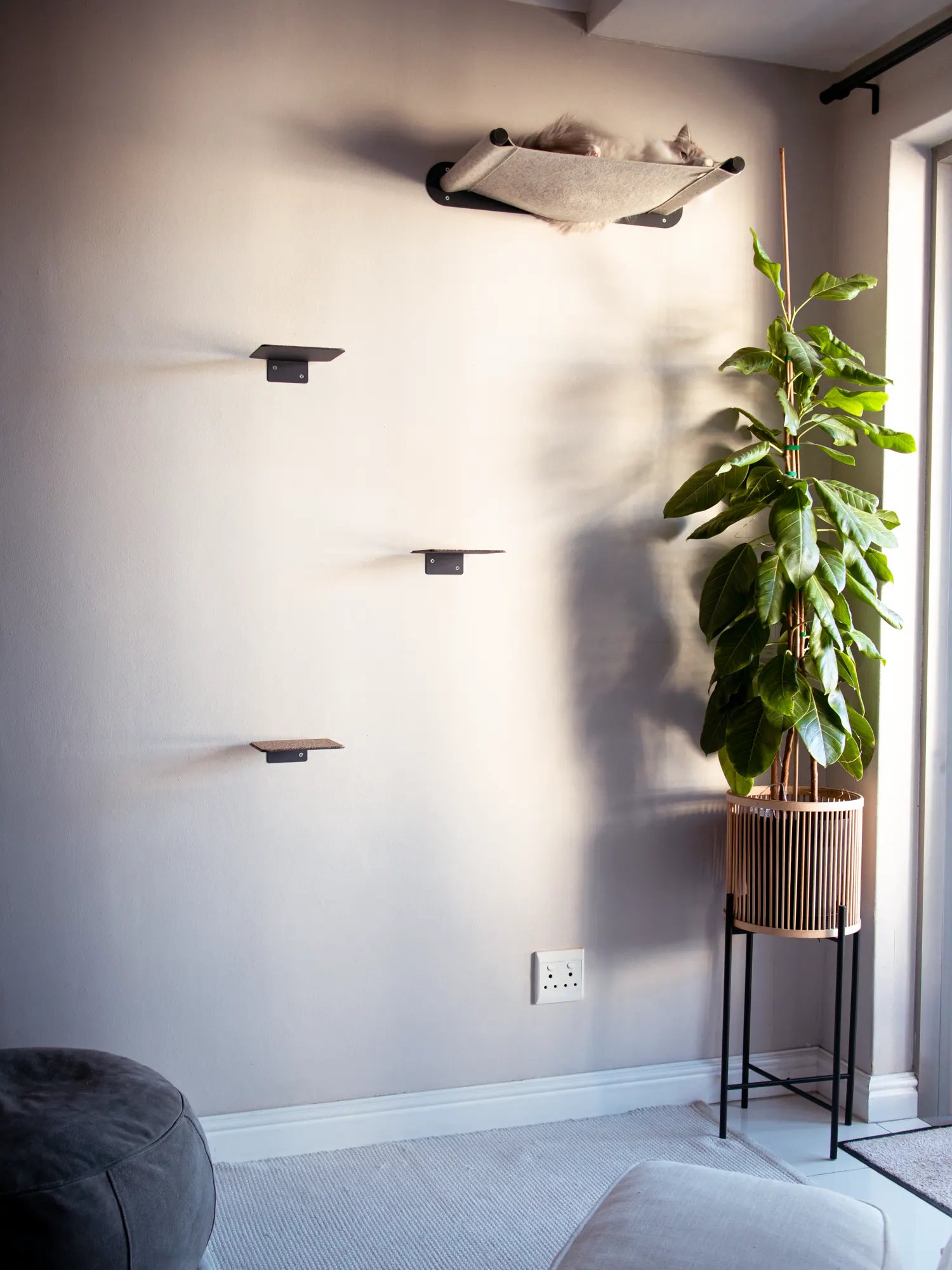 Luxury wall-mounted cat hammock and steps by Nep + Plu in a modern South African home – the best cat tree alternative for 2026