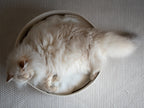 A fluffy long-haired cat curled up inside a round pet bed be Nep + Plu.