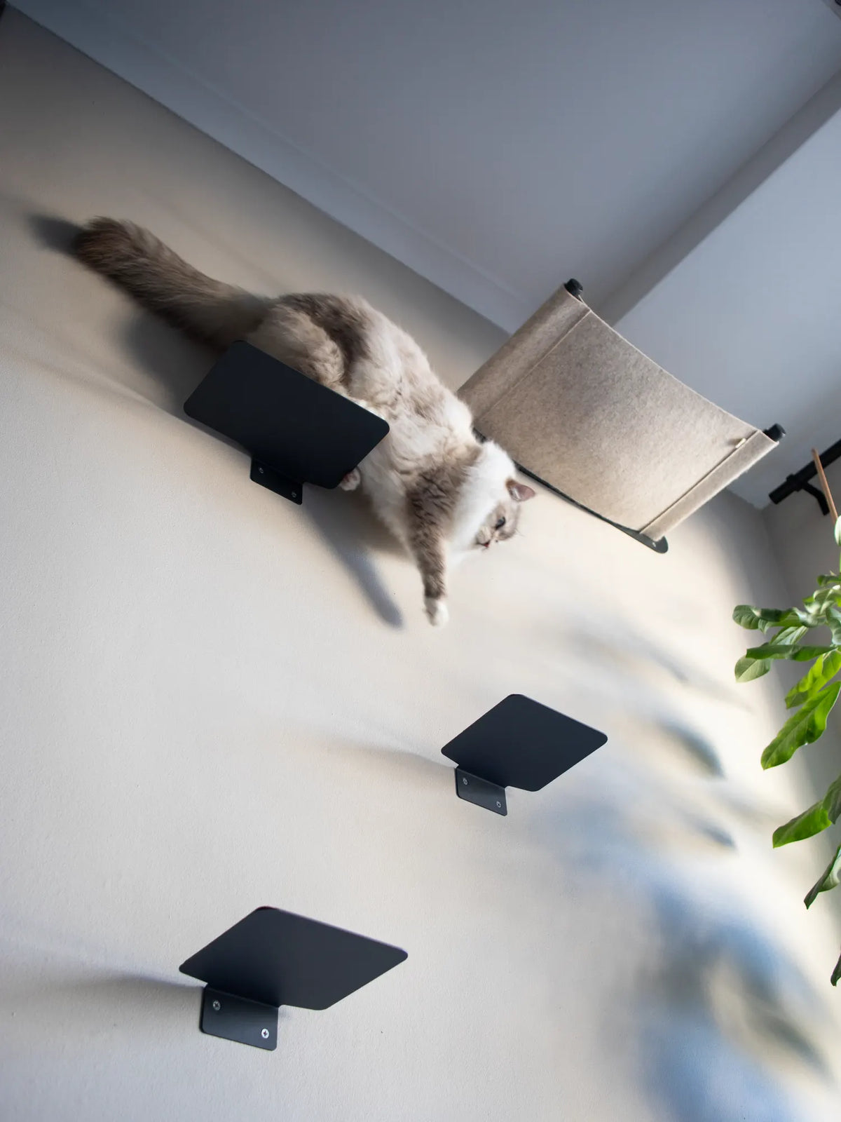 The Outcrop | Floating Cat Step
