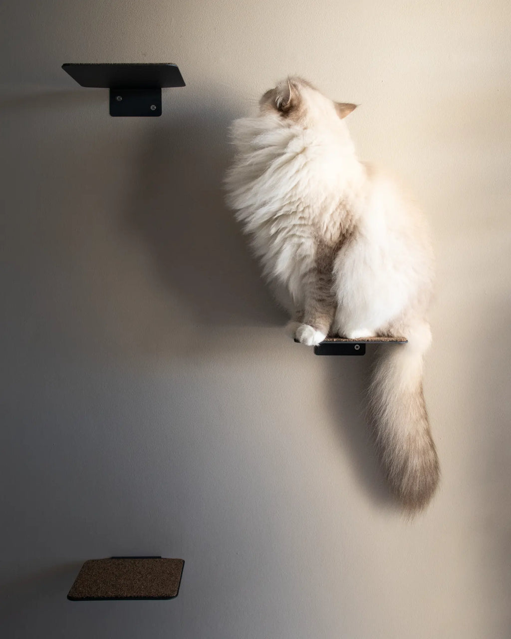 Premium Nep + Plu wall-mounted cat steps set of 3 with cork pads - part of the luxury modular cat tree system for vertical climbing and wellness