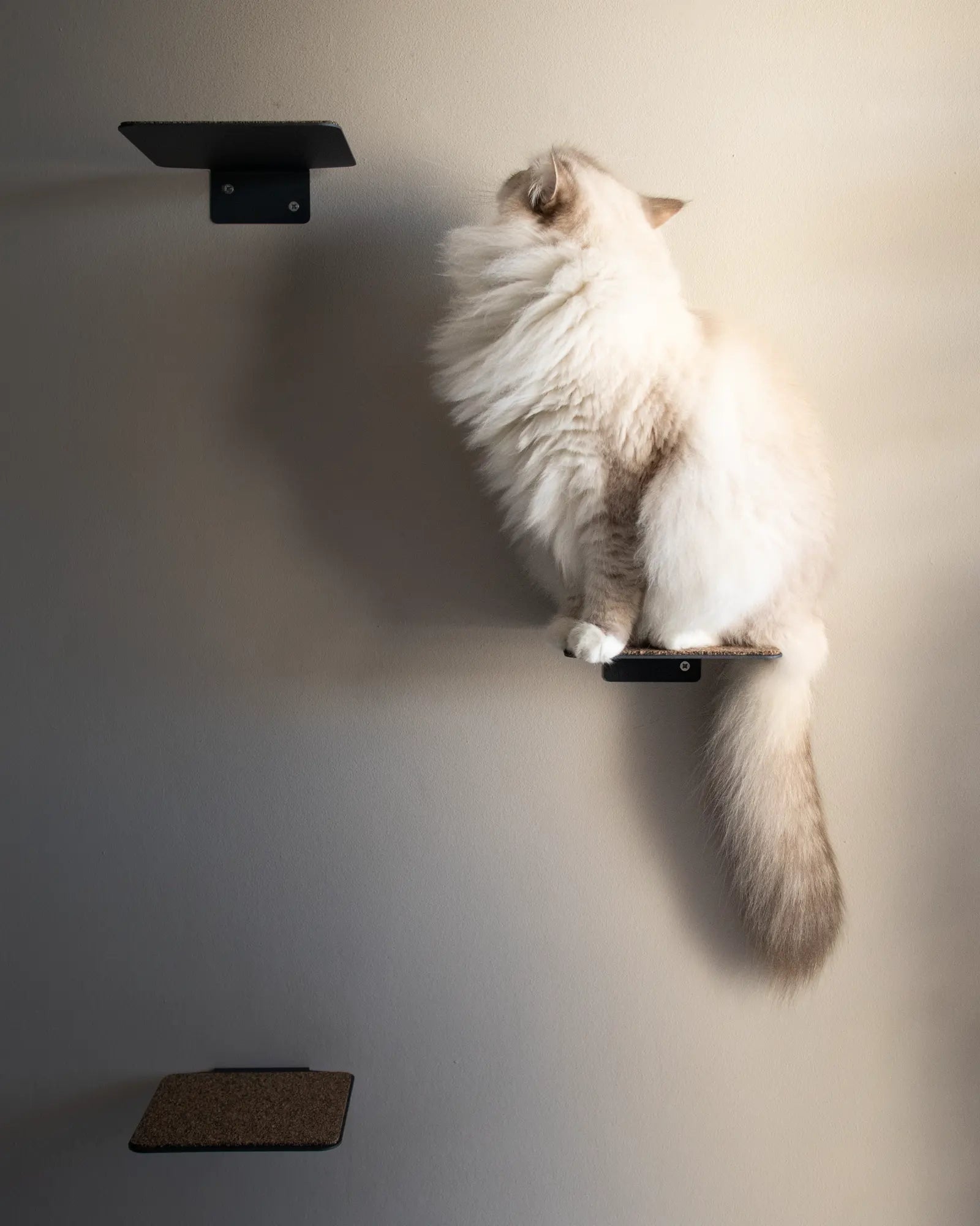 Premium Nep + Plu wall-mounted cat steps set of 3 with cork pads - part of the luxury modular cat tree system for vertical climbing and wellness