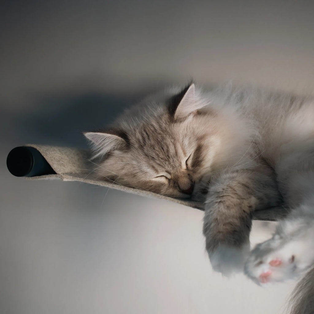 Cosy Nep+Plu Wall Cat Bed South Africa