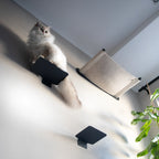 The Outcrop | Floating Cat Step