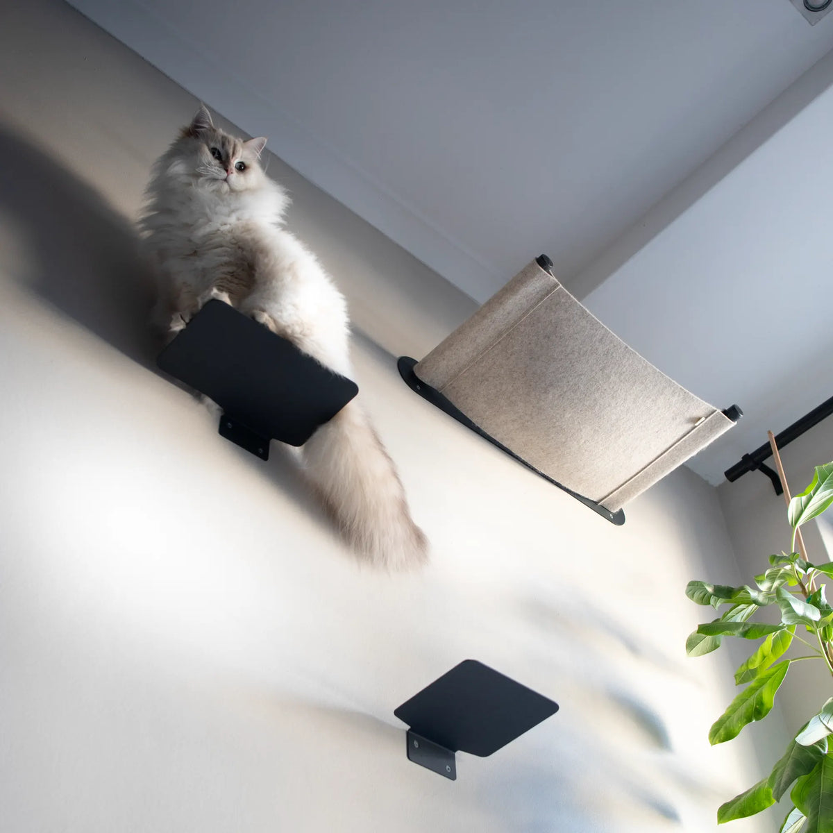 The Outcrop | Floating Cat Step