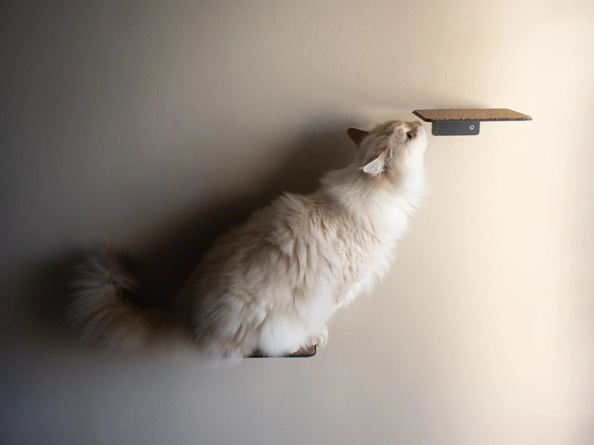 Cat Steps Wall-Mounted | Set of 3