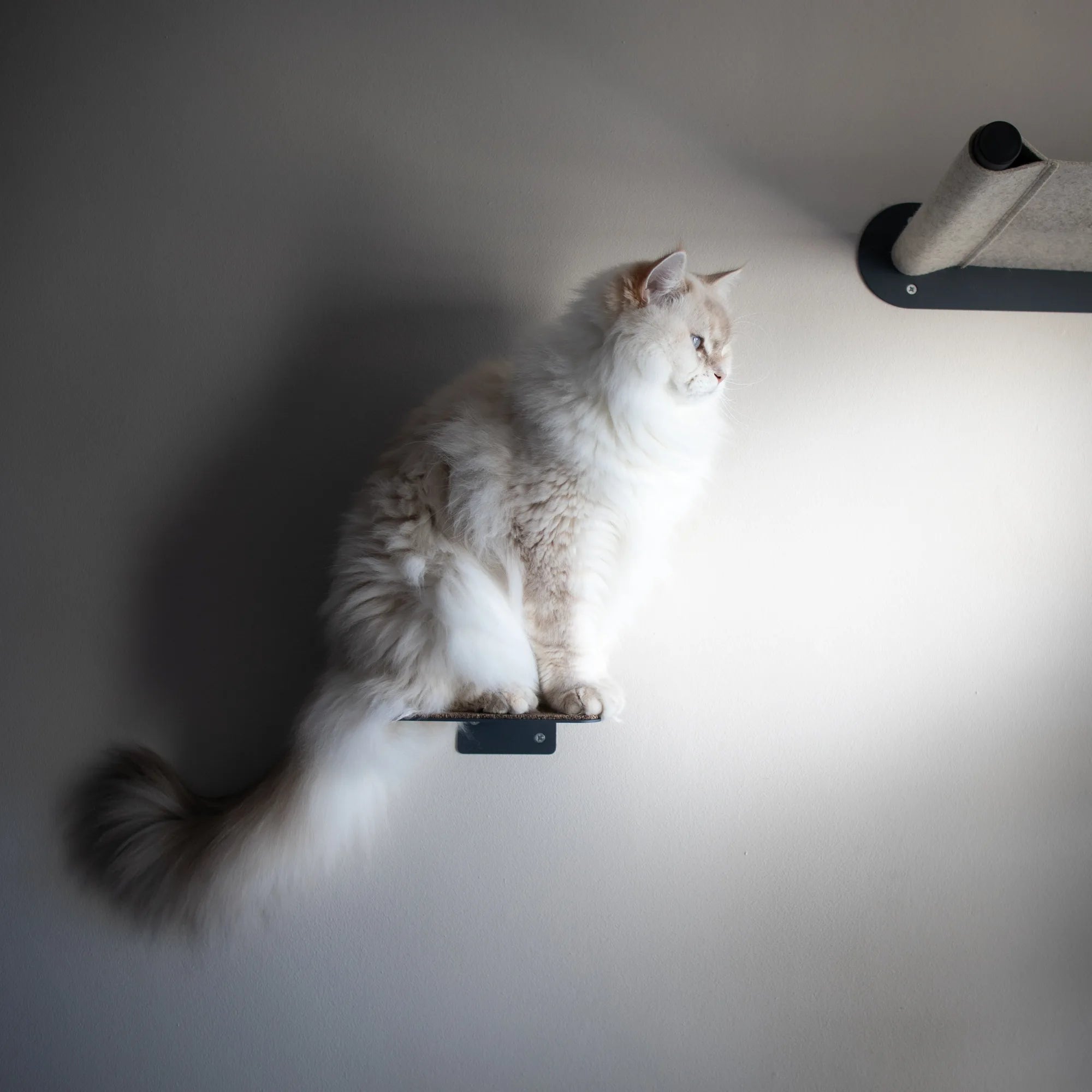 Cat Hammock Bed Wall-Mounted | 100% Merino Wool