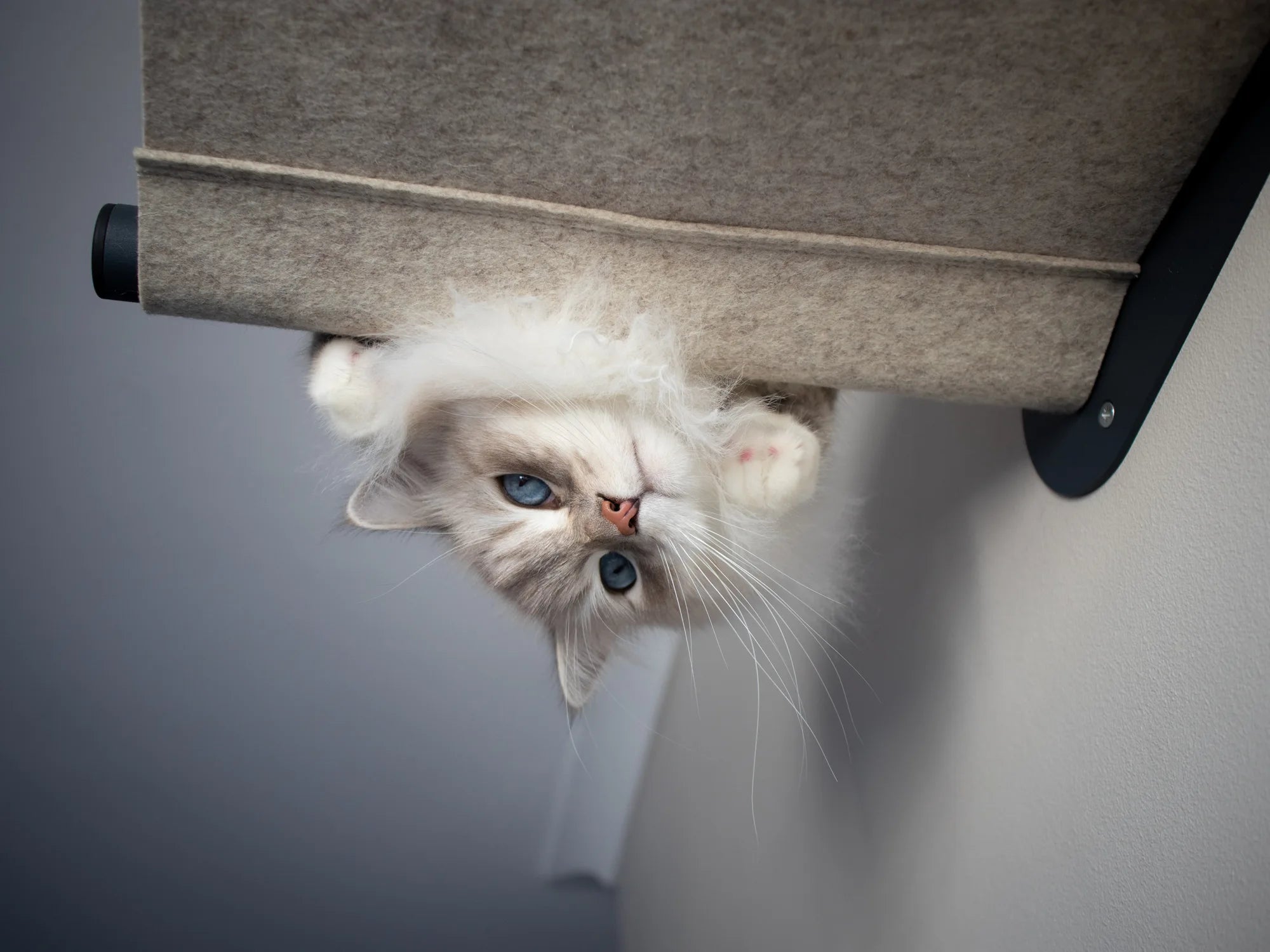 Cat Hammock Bed Wall-Mounted | 100% Merino Wool