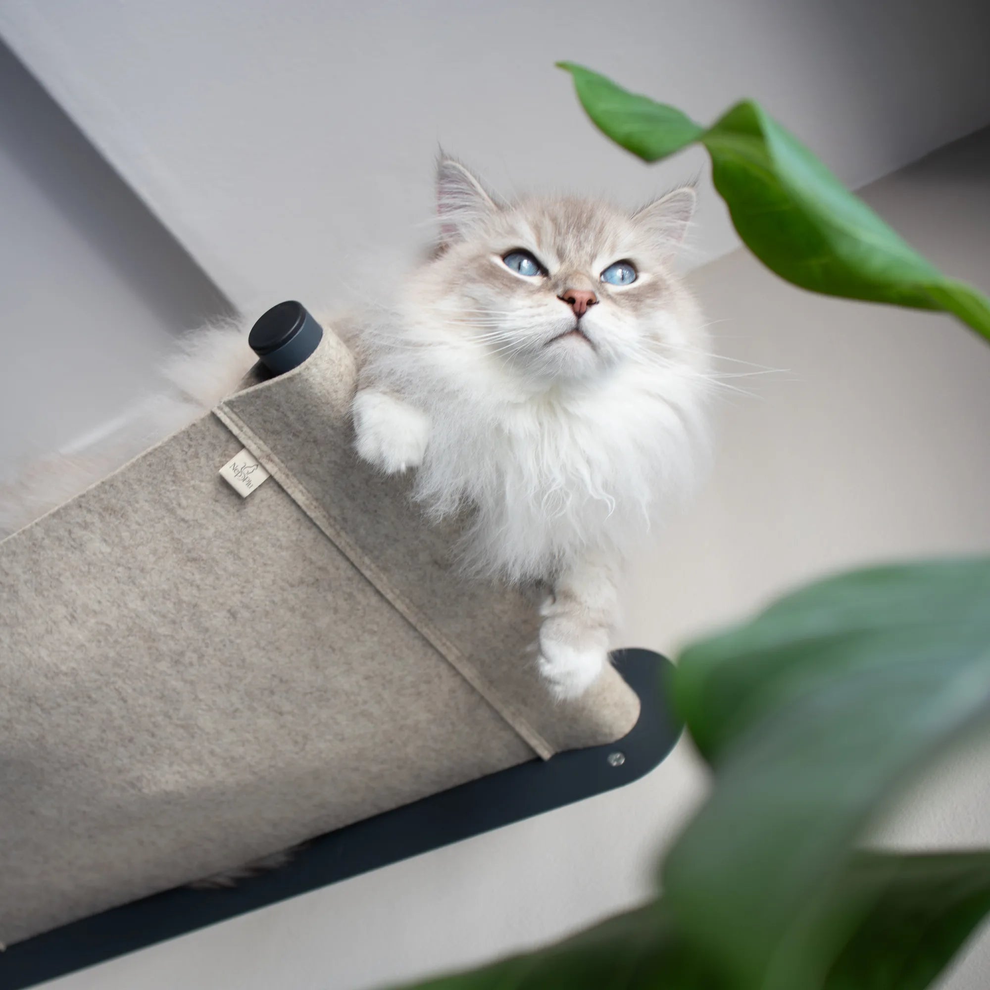 Cat Hammock Bed Wall-Mounted | 100% Merino Wool