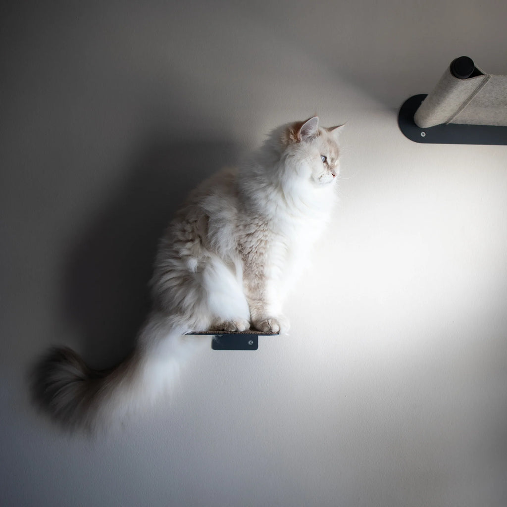 Luxury Wall-Mounted Cat Hammock South Africa Nep + Plu