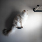 Luxury Wall-Mounted Cat Hammock South Africa Nep + Plu