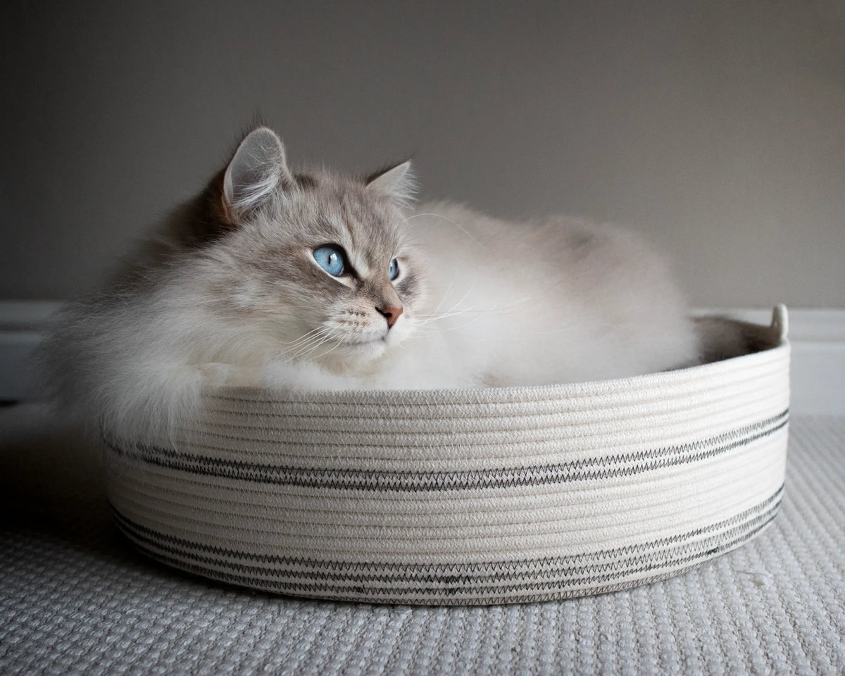 100% cotton rope cat bed by Nep + Plu in partnership with Mia Mélange. A modern cat bed for a stylish home.