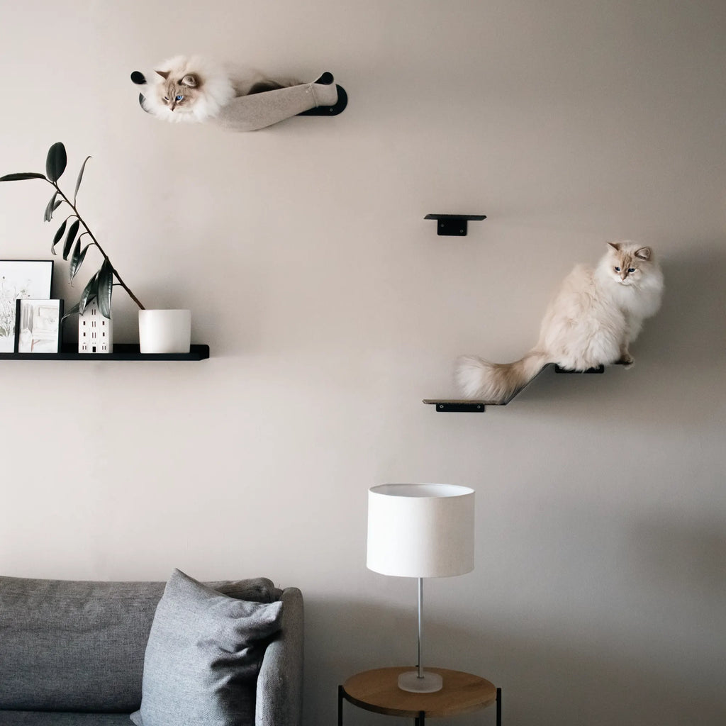 Modern, minimalist home with cat wall furniture that leads up to a cat hammock bed. Designed in Cape Town, South Africa by Nep + Plu.