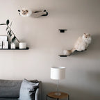 Modern, minimalist home with cat wall furniture that leads up to a cat hammock bed. Designed in Cape Town, South Africa by Nep + Plu.