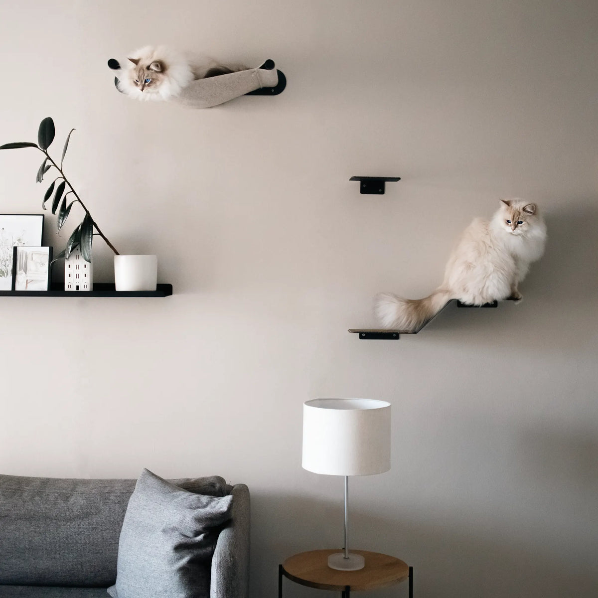 Modern, minimalist home with cat wall furniture that leads up to a cat hammock bed. Designed in Cape Town, South Africa by Nep + Plu.