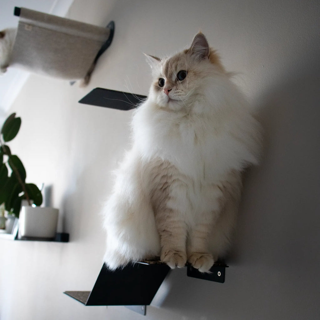 Premium cat perch for sale. Designed in Cape Town, South Africa by Nep + Plu.