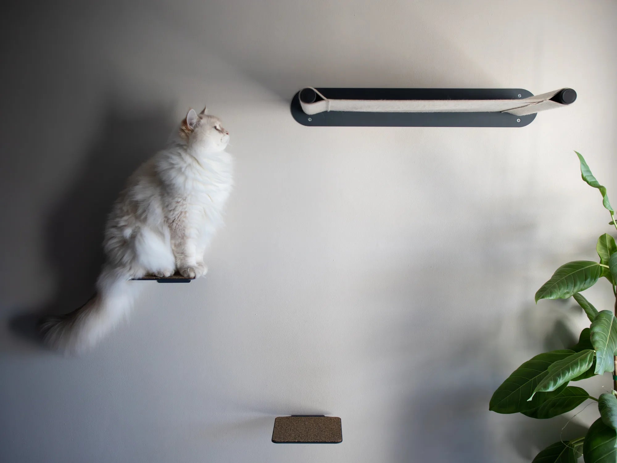 Nep+Plu Premium Wall-Mounted Cat Hammock made in Cape Town