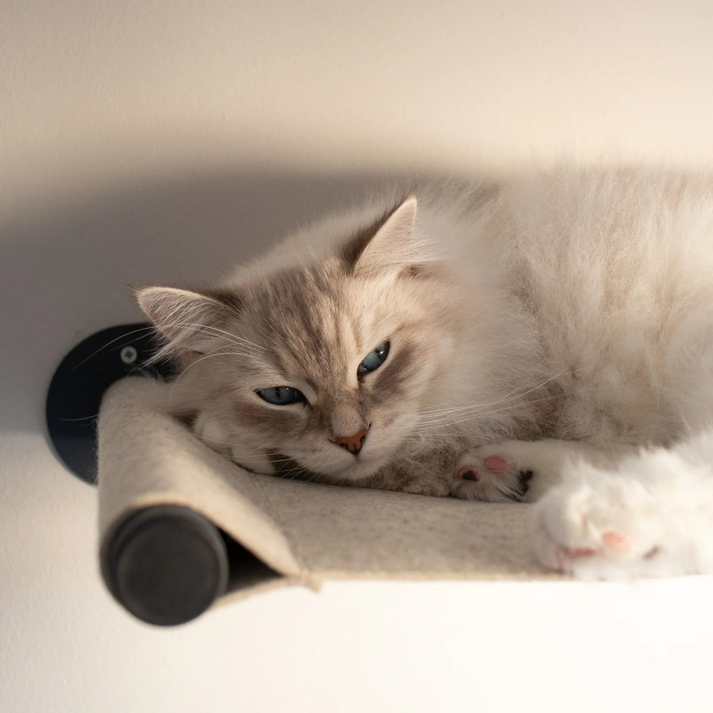 Nep and Plu Wool Wall Mounted Cat Hammock South Africa