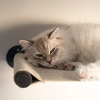 Nep and Plu Wool Wall Mounted Cat Hammock South Africa