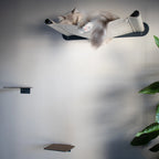 Premium Wall-Mounted Cat Bed South Africa Nep and Plu for sale
