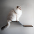 Wall-mounted cat perch for sale in South Africa by Nep + Plu.