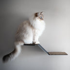 Wall-mounted cat perch for sale in South Africa by Nep + Plu.