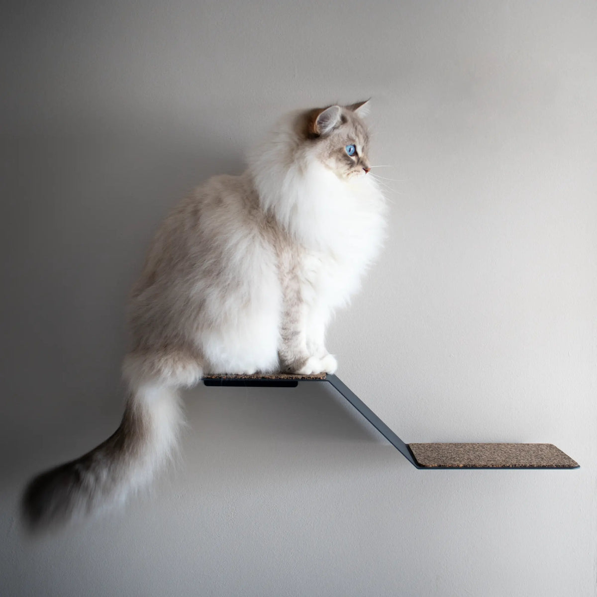 Wall-mounted cat perch for sale in South Africa by Nep + Plu.