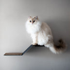 Modern minimalist wall-mounted cat step made in Cape Town by Nep + Plu.