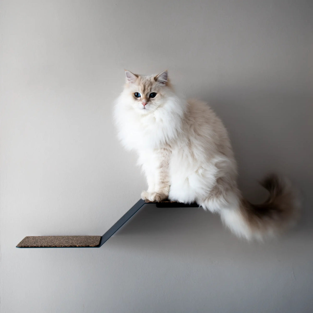 Modern minimalist wall-mounted cat step made in Cape Town by Nep + Plu.
