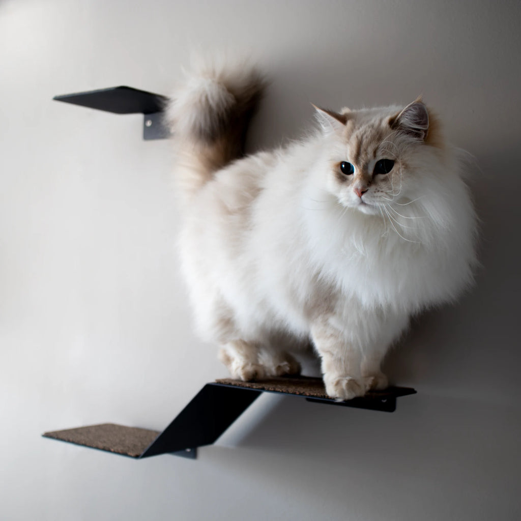High end cat wall steps made in Cape Town South Africa by Nep + Plu.