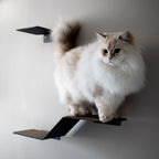 High end cat wall steps made in Cape Town South Africa by Nep + Plu.