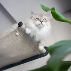 Nep+Plu Cat Hammock Bed